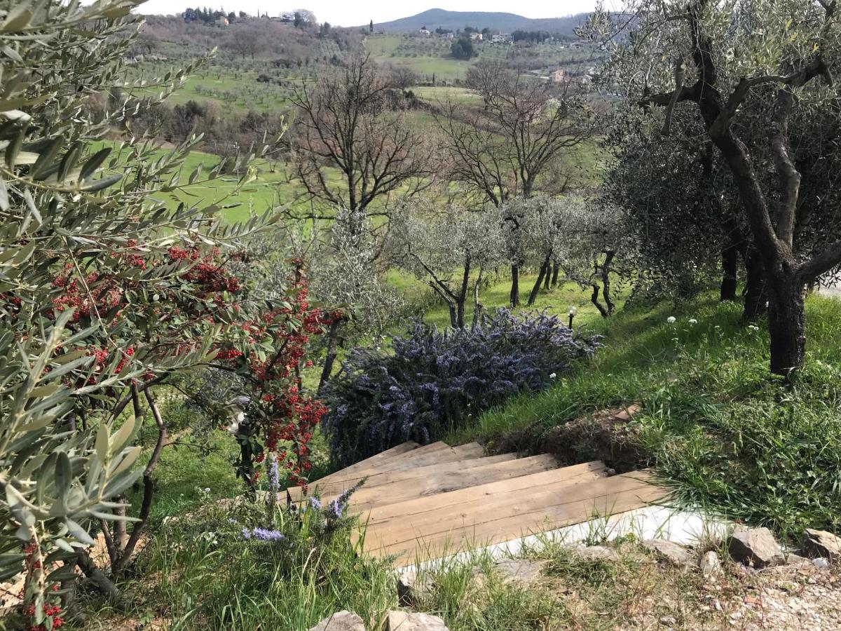 La Casa Di Demetra. Un Paradiso Tra Gli Olivi. Montecchio  Exterior foto