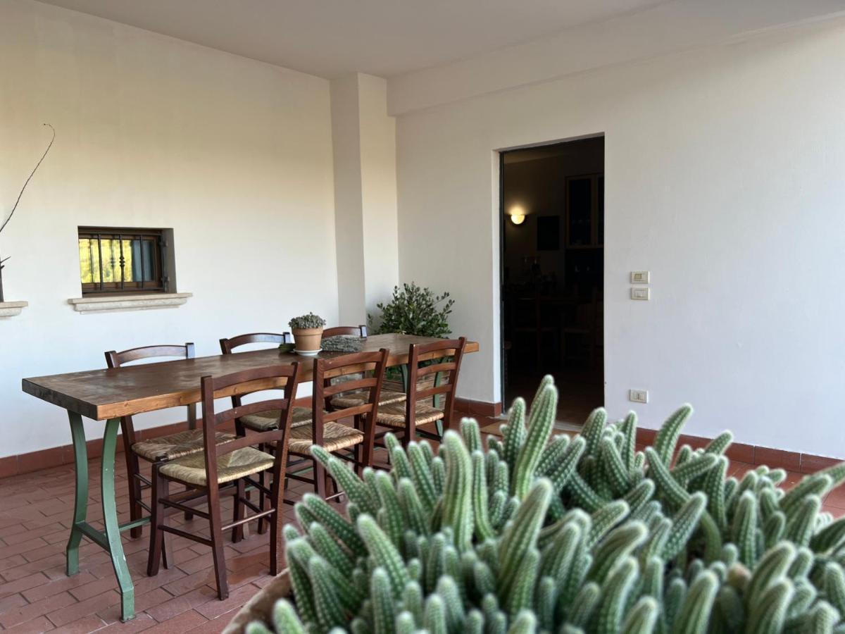 La Casa Di Demetra. Un Paradiso Tra Gli Olivi. Montecchio  Exterior foto
