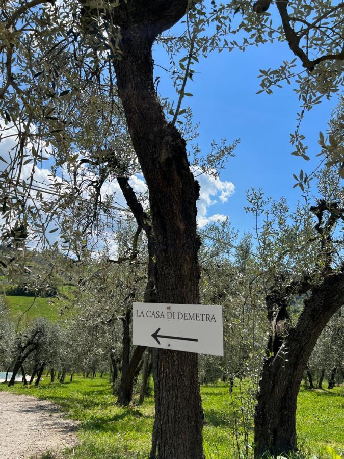 La Casa Di Demetra. Un Paradiso Tra Gli Olivi. Montecchio  Exterior foto